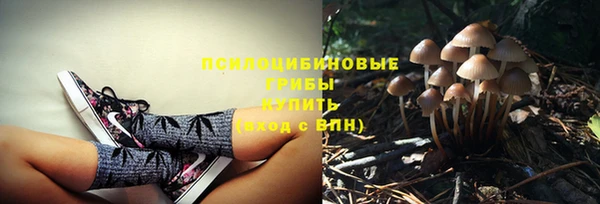 альфа пвп Козловка