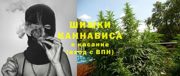 дмт Горнозаводск