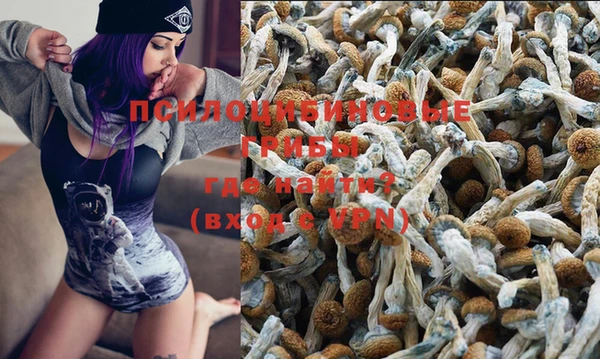 дмт Горнозаводск