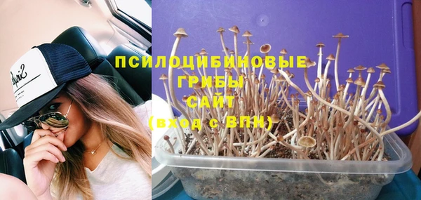 дмт Горнозаводск