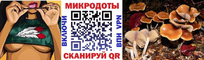 Псилоцибиновые грибы мухоморы  Дрезна 